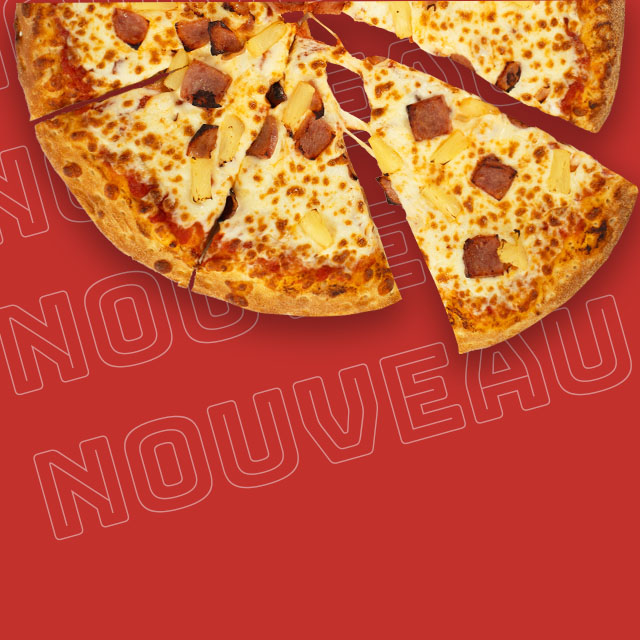 Pizza Large 2 Garnitures 13.99$